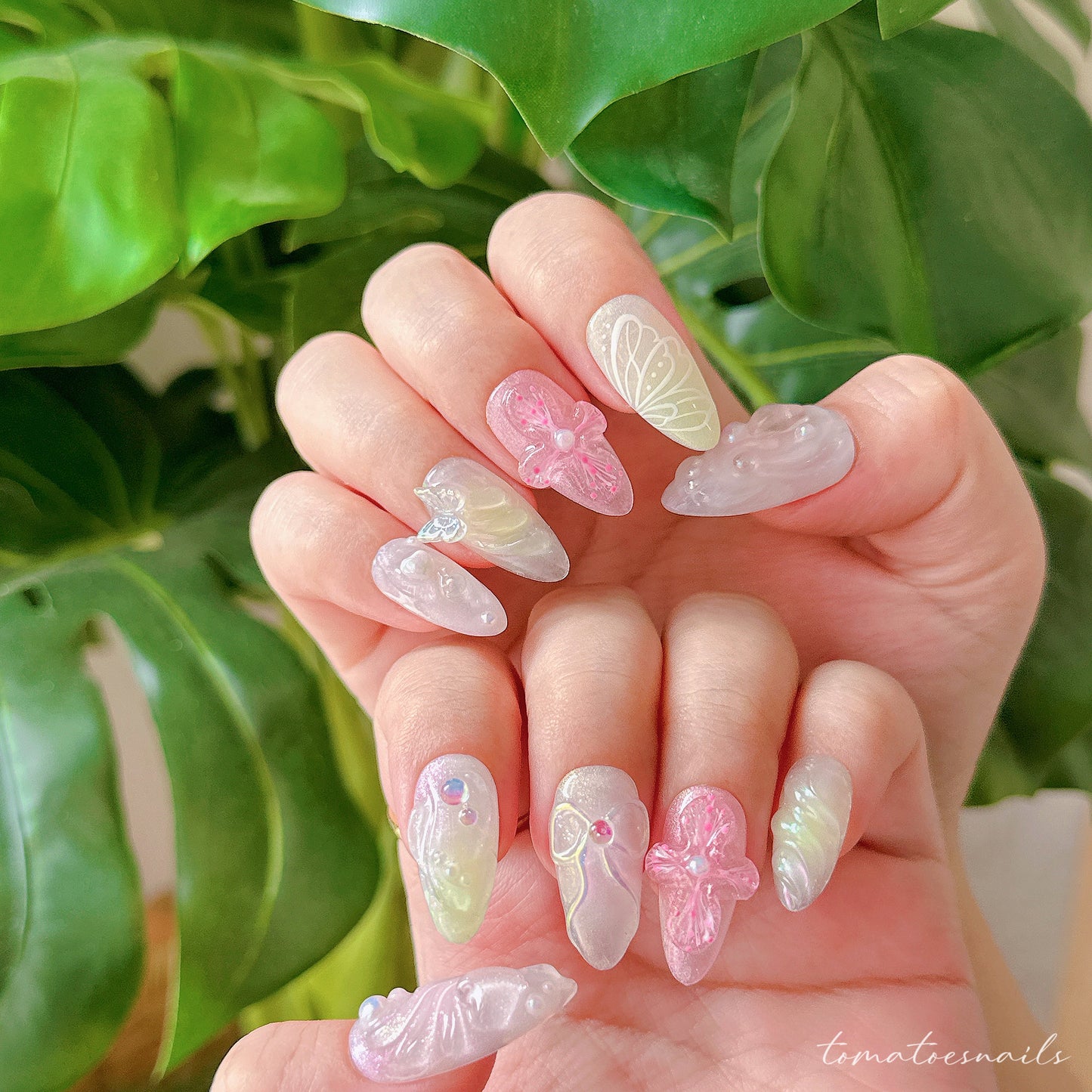 Fairy Orchid Wing