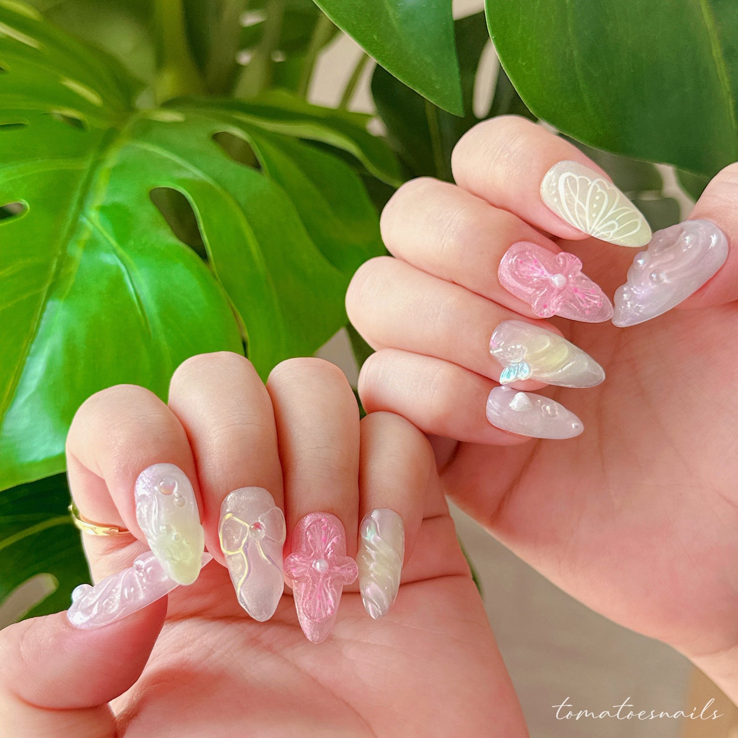 Fairy Orchid Wing