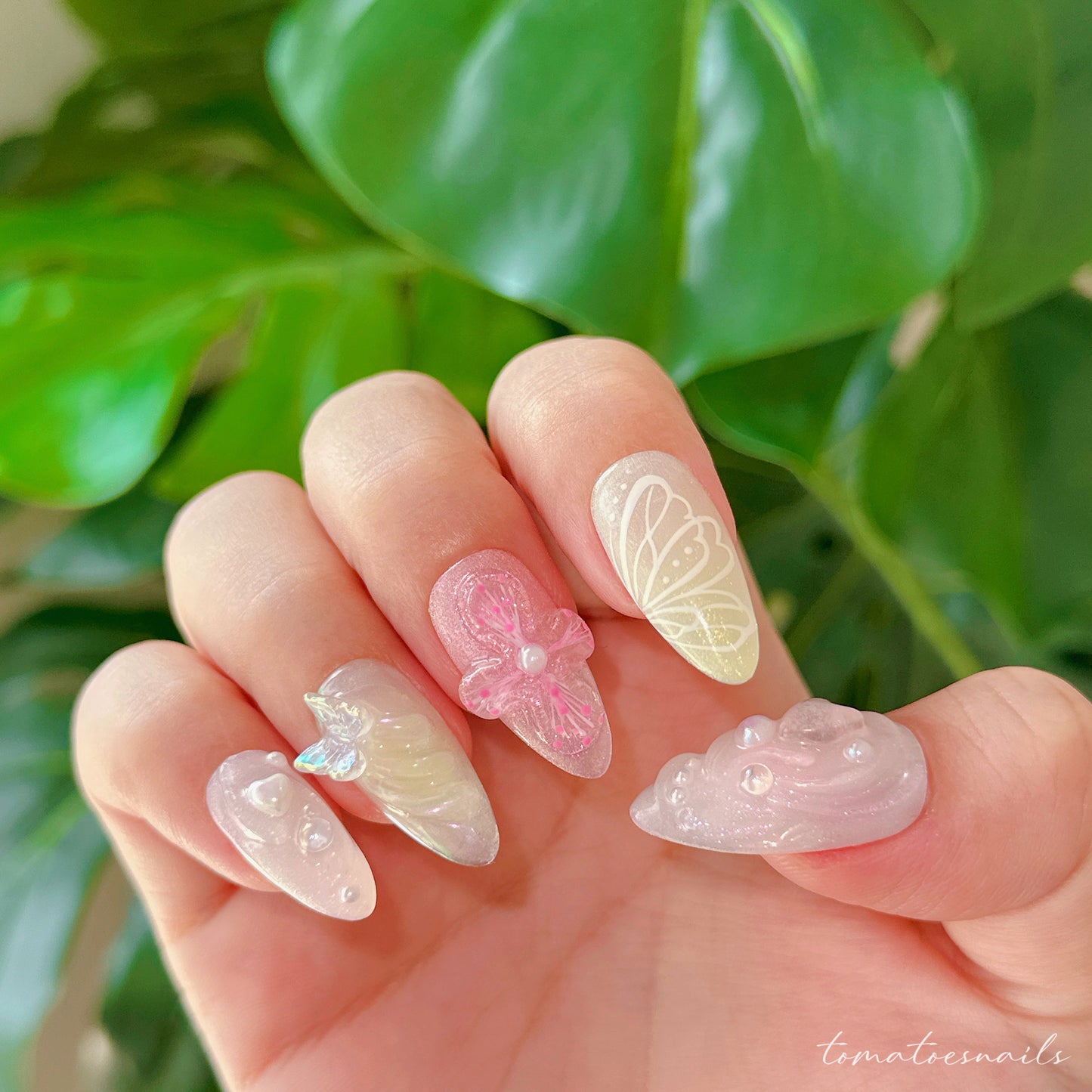 Fairy Orchid Wing