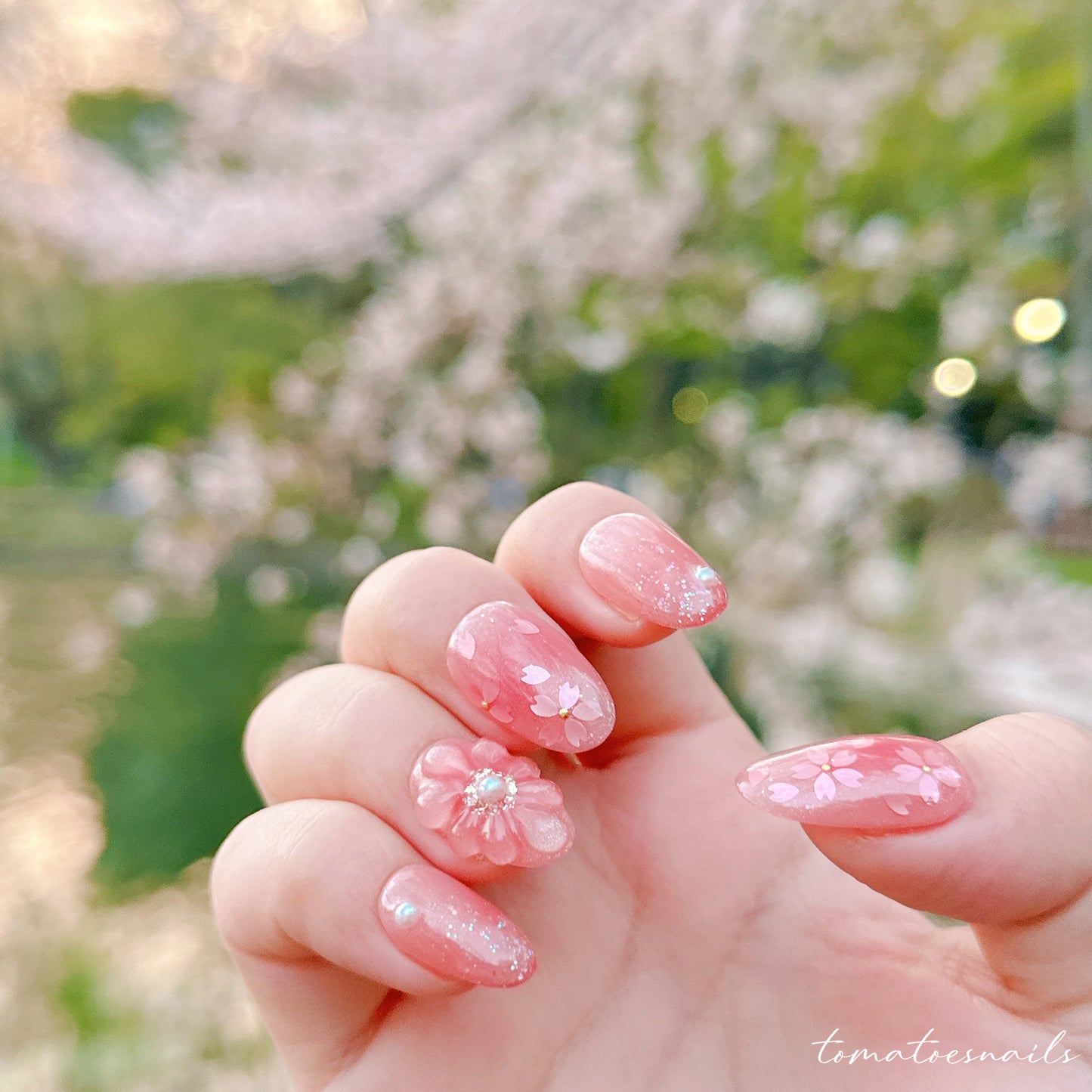 Blooming Cherry Blossom