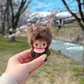 Magical Sakura