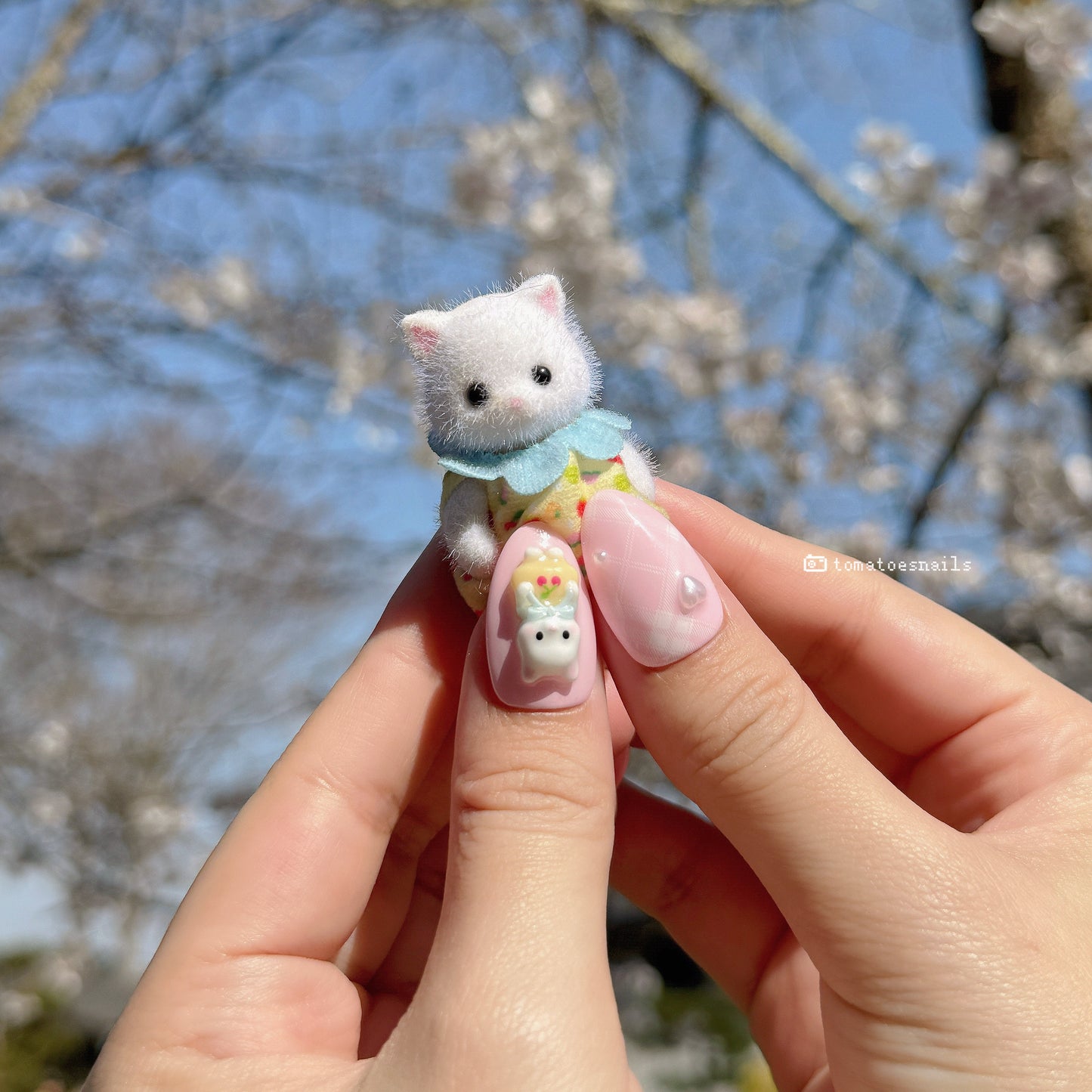 Dreamy Kitten