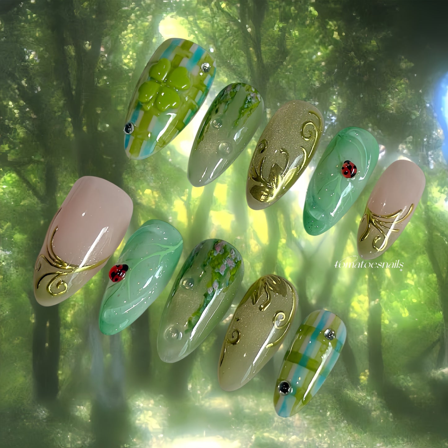 Enchanted Forest